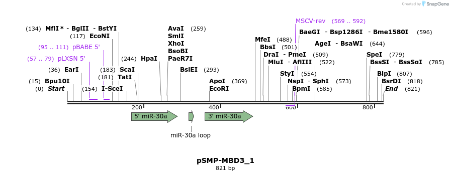 46622_map