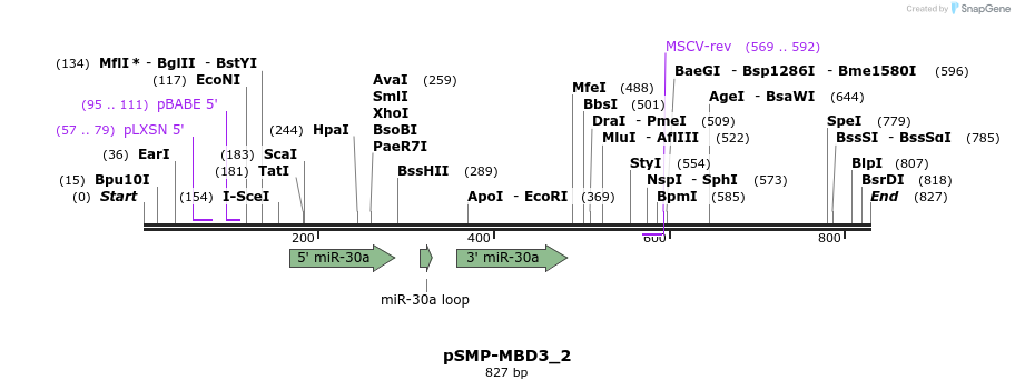 46623_map