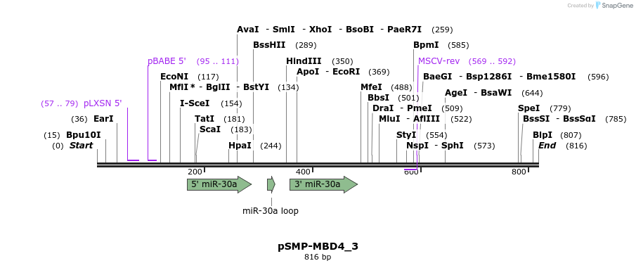 46626_map