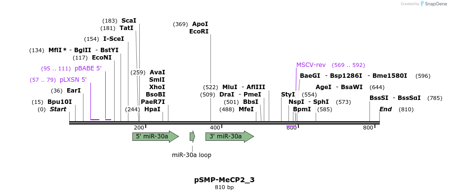 46628_map