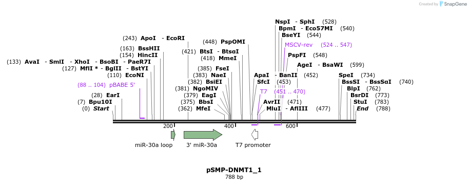 46632_map