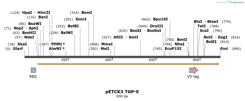 466420_map
