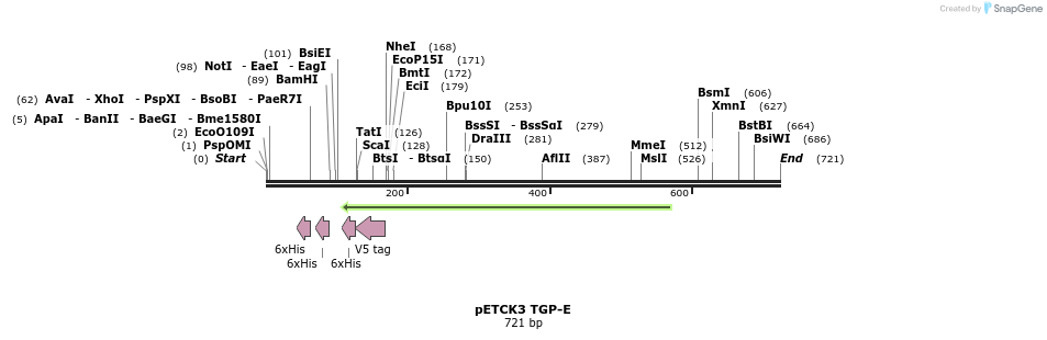 466422_map