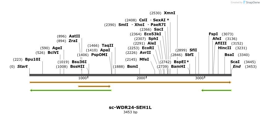 466424_map