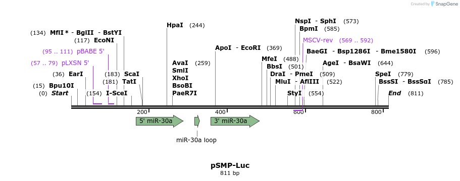 46644_map