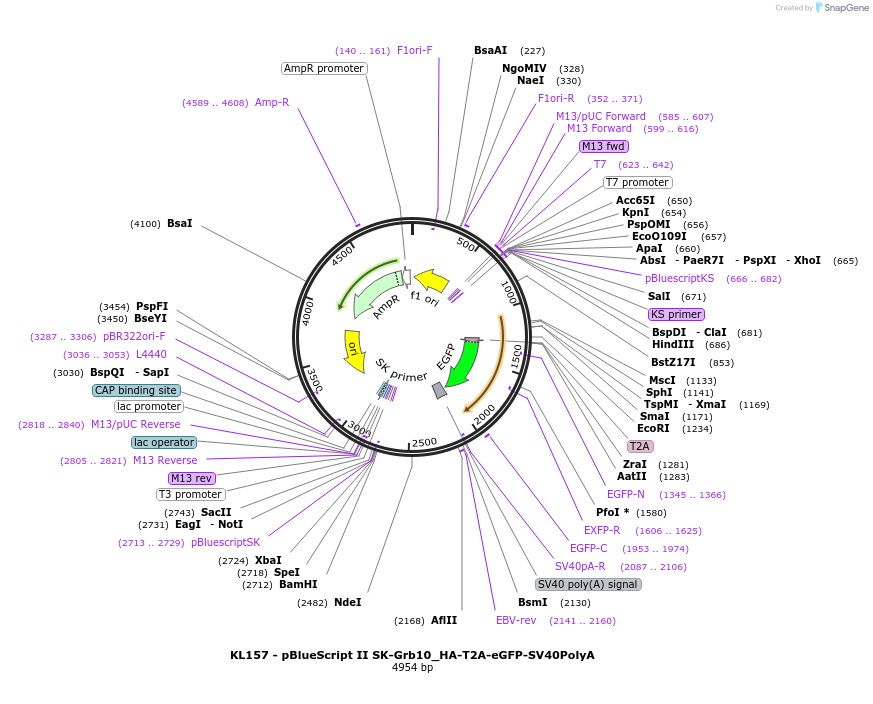 466440_map