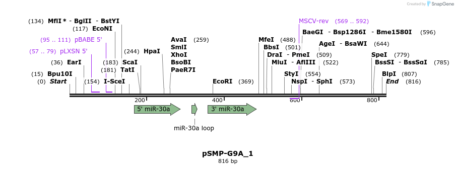 46645_map