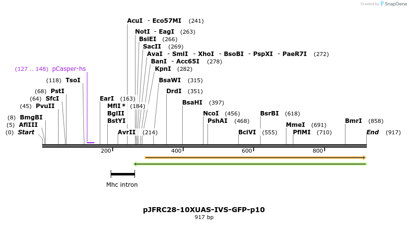 46647_map