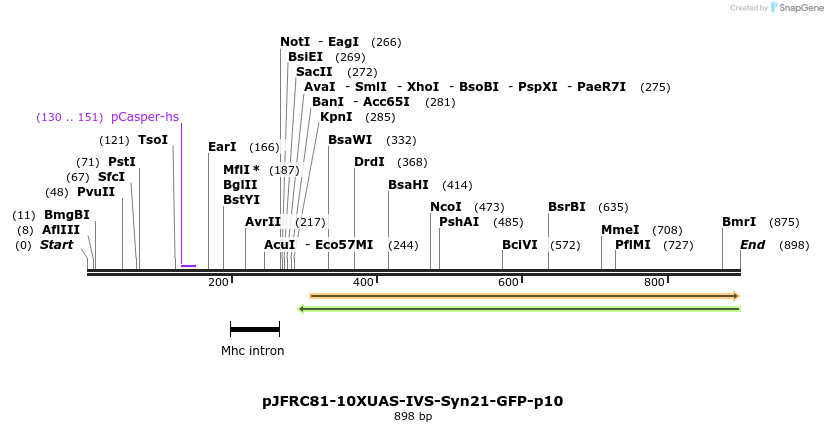 46649_map