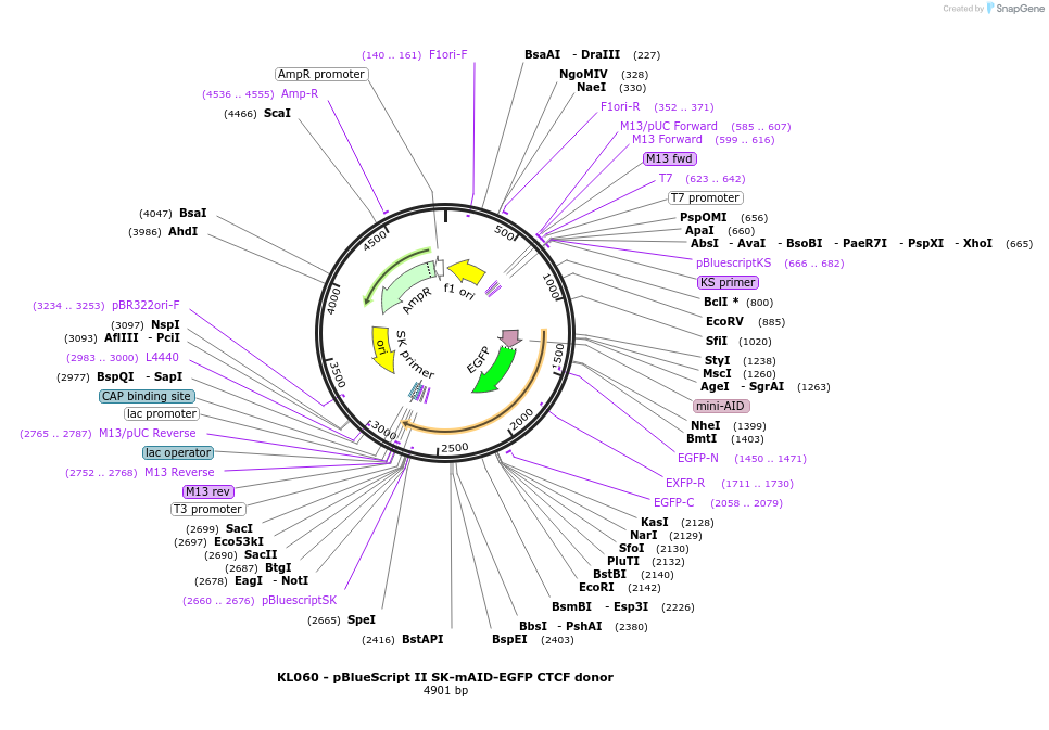 466501_map