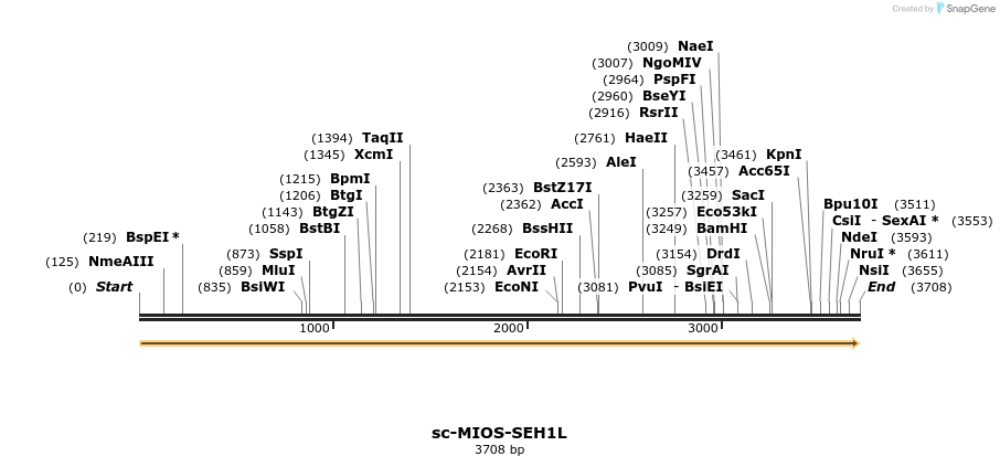 466514_map