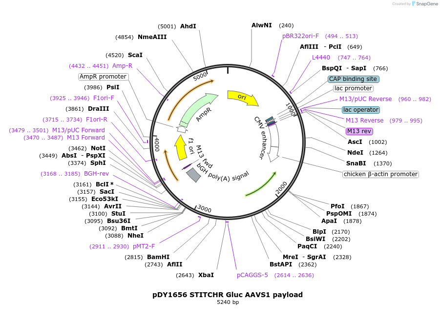 466612_map