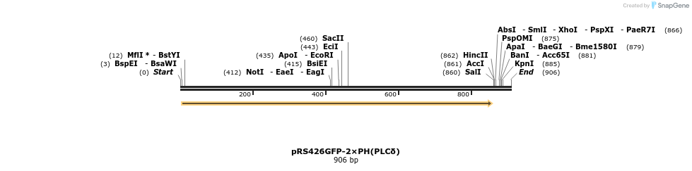 46664_map