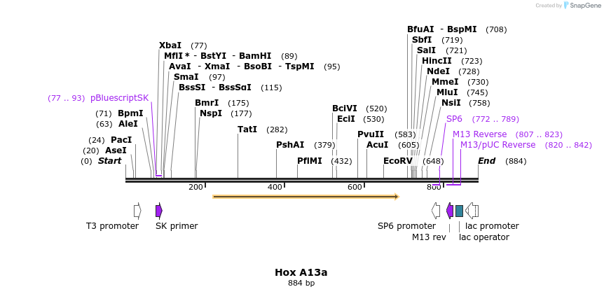 46665_map