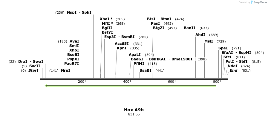 46666_map