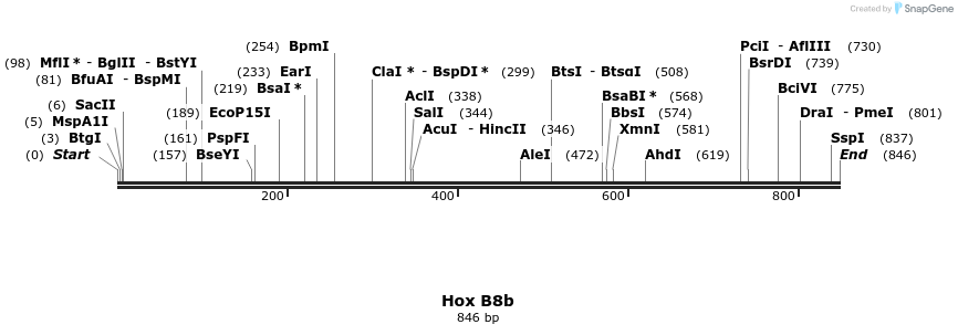 46667_map