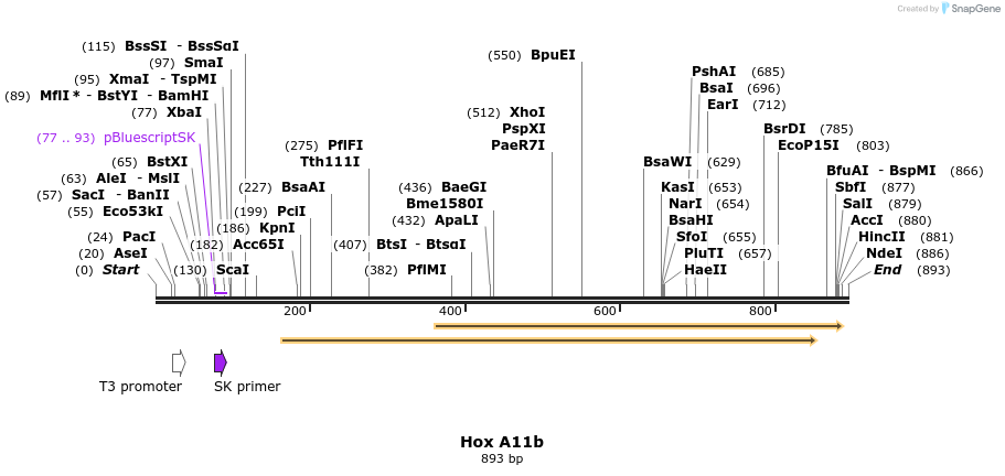 46671_map
