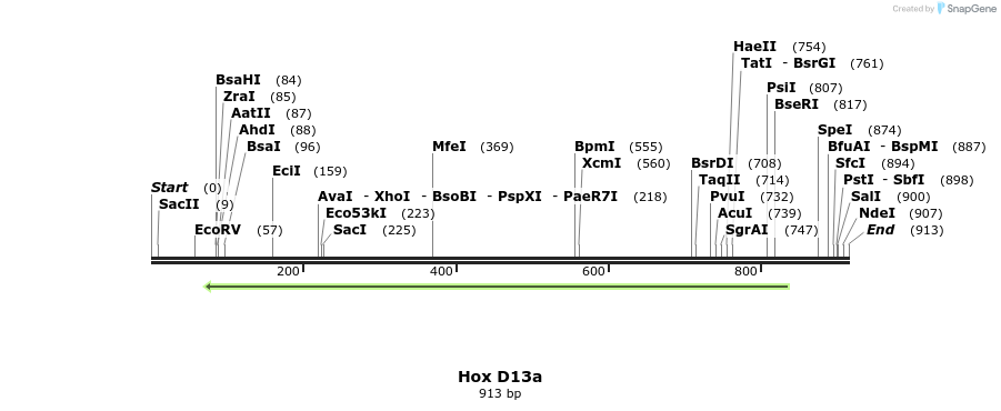46672_map