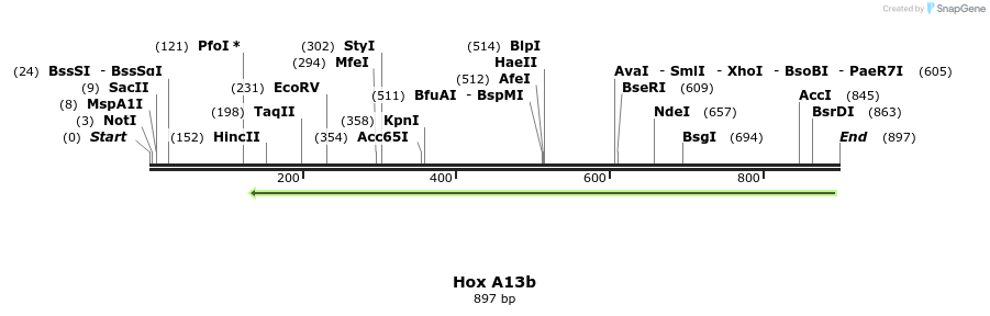 46673_map