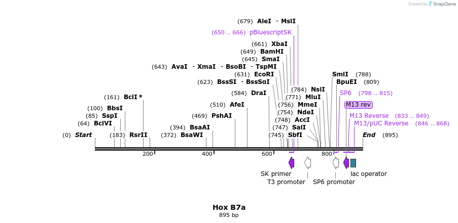 46676_map