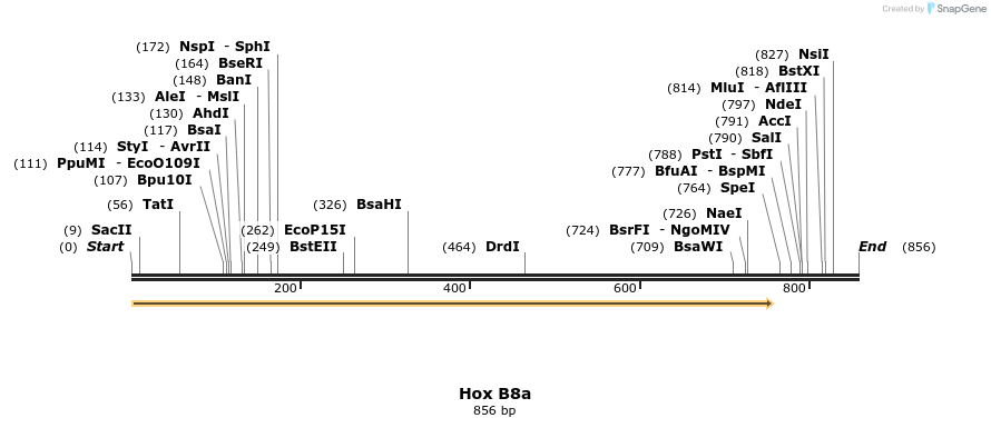 46677_map