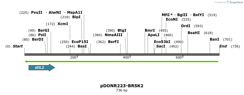 46684_map