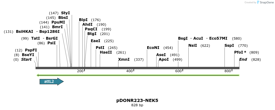 46685_map