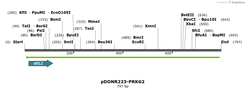 46686_map