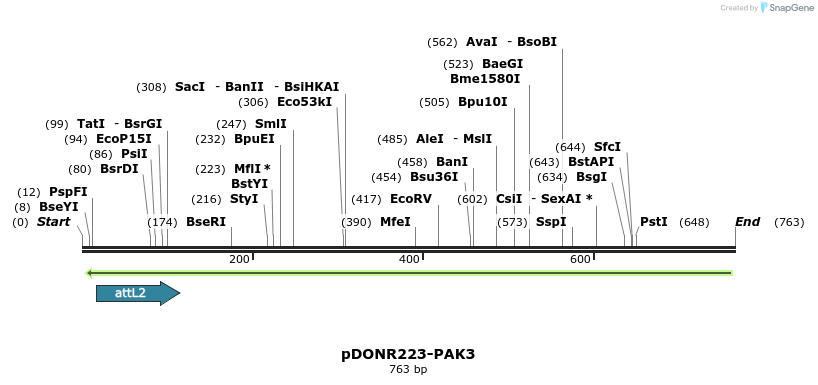 46687_map