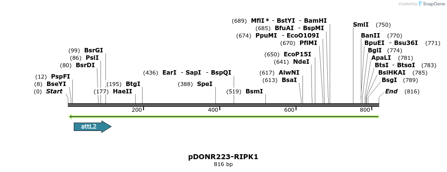 46689_map
