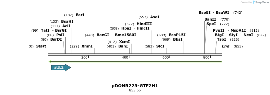 46691_map