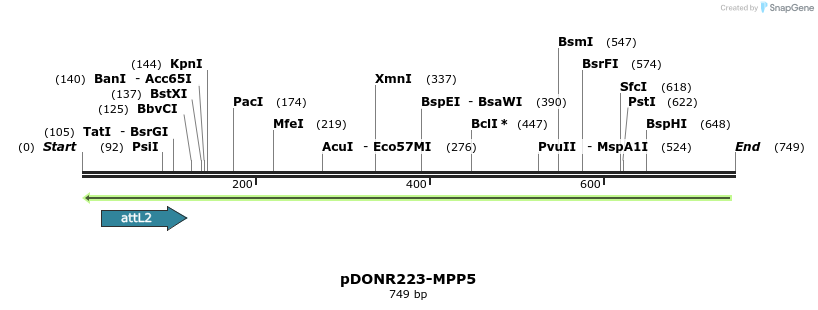 46693_map
