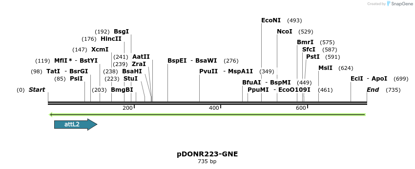 46694_map