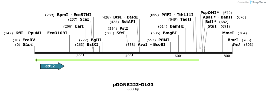 46695_map