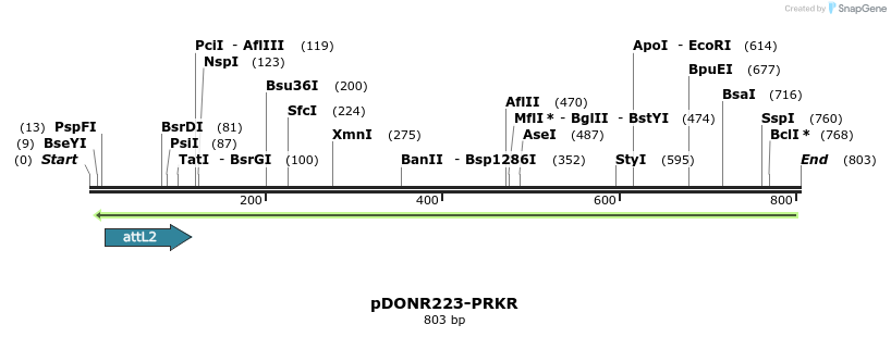 46696_map