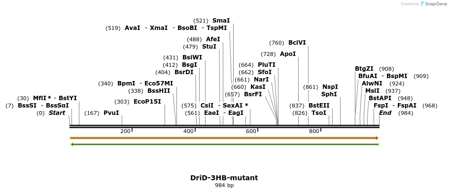467171_map