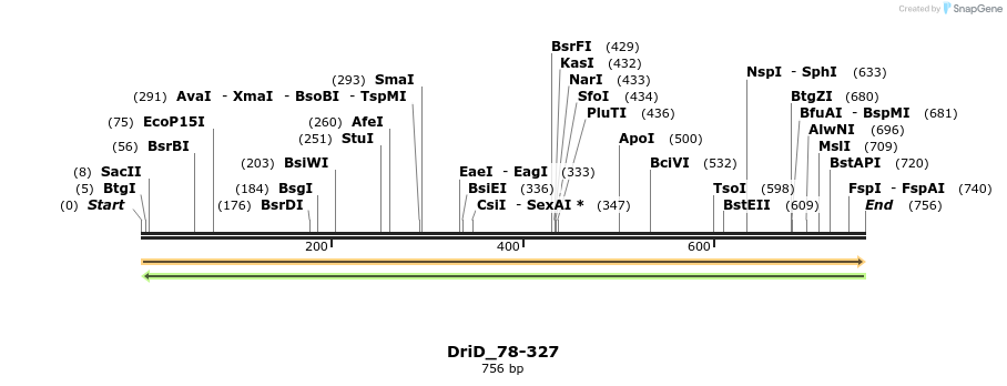 467173_map