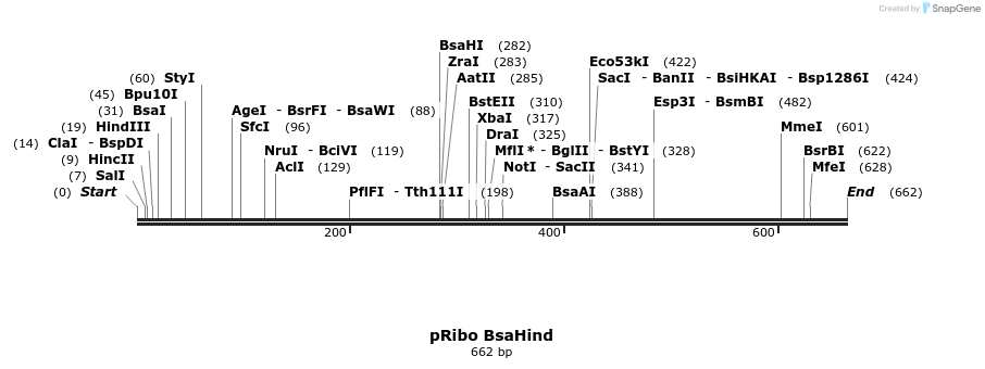 46720_map