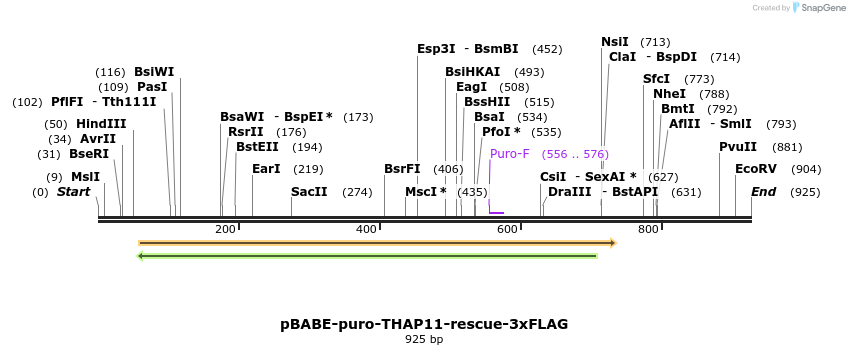 46728_map