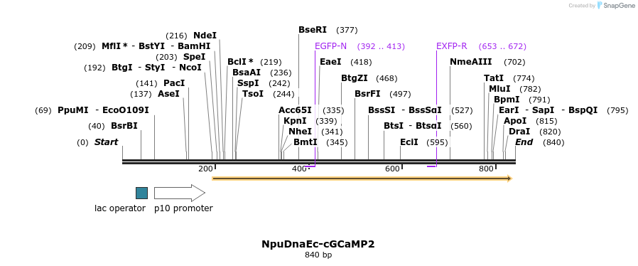 46730_map