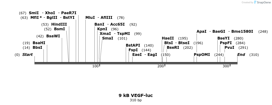 46746_map