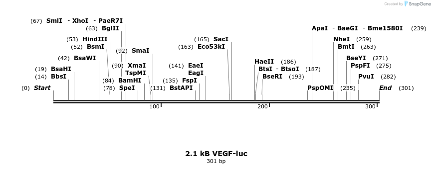 46748_map