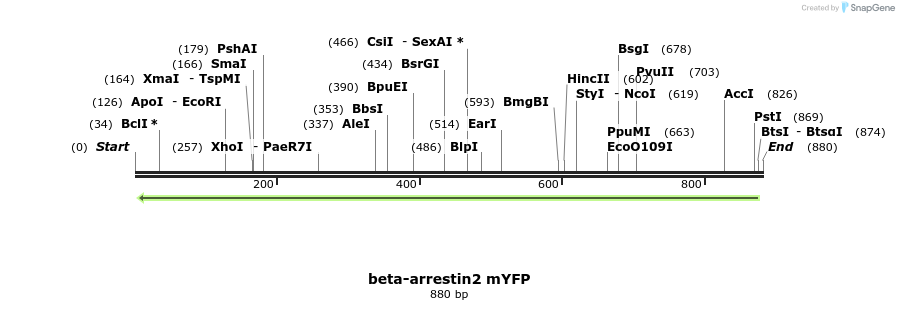 46751_map