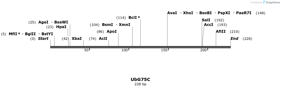 46754_map