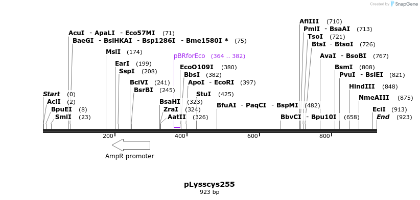 46768_map