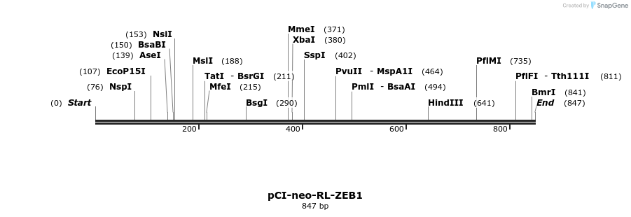 46769_map