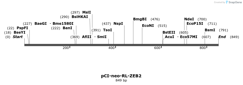 46770_map