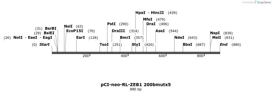 46771_map