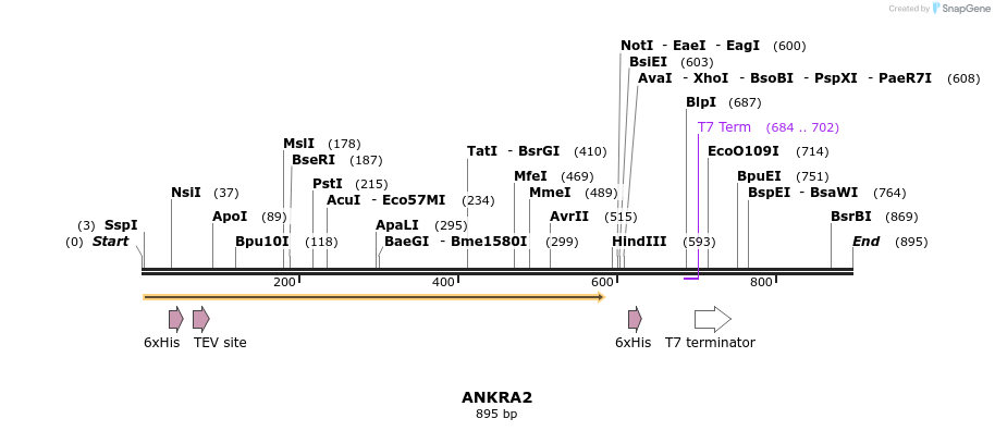 46778_map