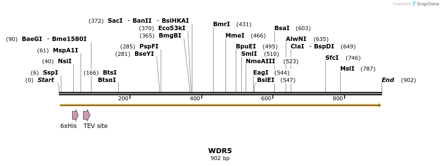 46781_map